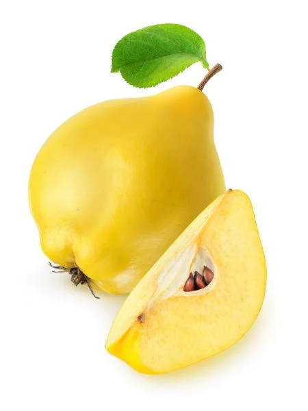 Kvæde